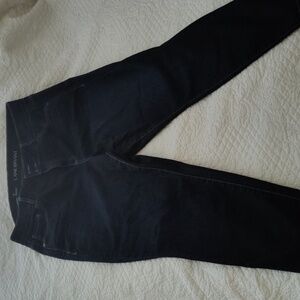 Lane Bryant Dark wash skinny Jeans